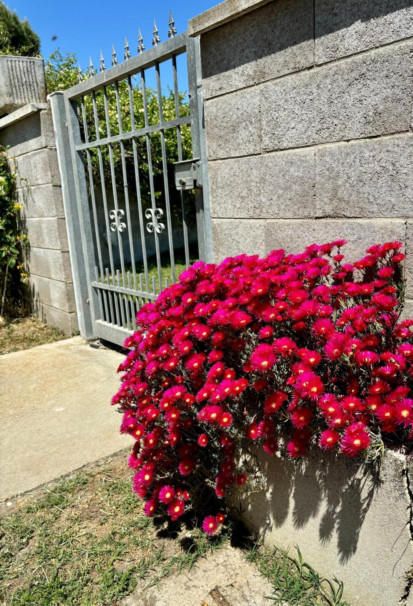 Tra Campagna E Mare Bed and Breakfast Lido delle Nazioni Εξωτερικό φωτογραφία